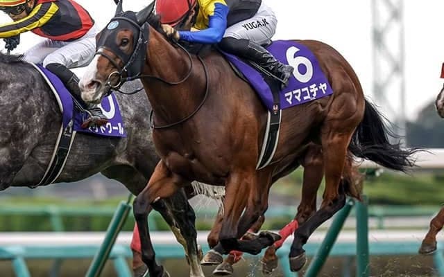 【京王杯SC想定騎手】ママコチャは川田将雅騎手、トウシンマカオは横山武史騎手