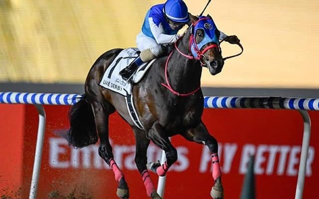 【ケンタッキーダービー枠順】UAEダービー覇者アドマイヤデイトナは6番ゲート、4連勝中のルクソールカフェは7番ゲート