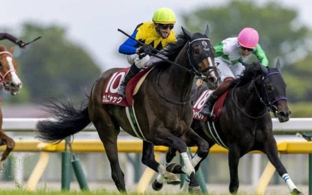 【フローラS】シュタルケ騎乗 カムニャックが快勝