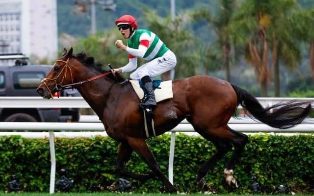 タスティエーラなどが属する「トライマイベスト系」 ほかにはどんな活躍馬がいる？