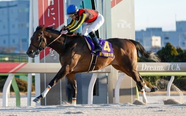 【大井・羽田盃注目馬】重賞6馬身差Vのナチュラルライズvs無傷3連勝のジャナドリア 三冠初戦で注目の初対決