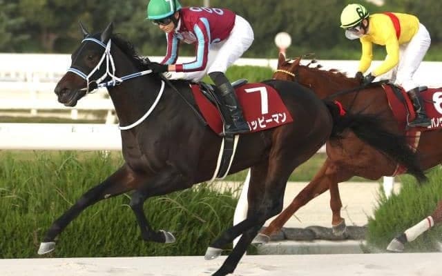 【園田・兵庫CS枠順】兵庫ジュニアGP勝ち馬ハッピーマンは5枠6番