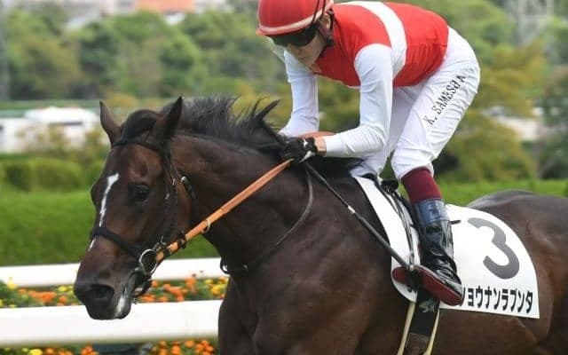 「平成の盾男」 武豊騎手が8年ぶり9度目の天皇賞(春)制覇なるか