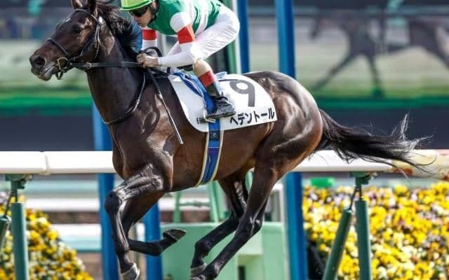 【天皇賞(春)予想オッズ】ヘデントールが予想1番人気