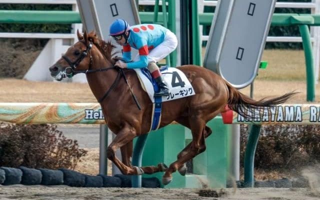 【ユニコーンS予想オッズ】クレーキングが予想1番人気