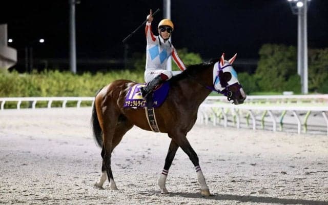 【羽田盃】横山武「良い雰囲気でした」ナチュラルライズがダート三冠初戦を制する