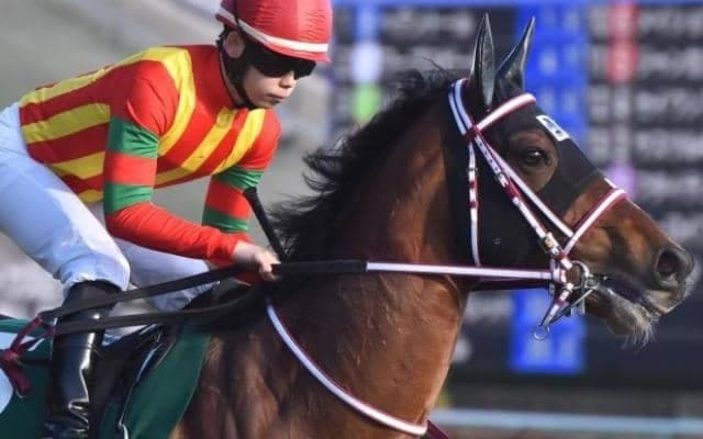 野中悠太郎騎手が3年ぶり2回目のGI参戦 天皇賞(春)で一発狙う