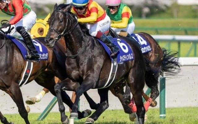 きょうだいから解く天皇賞(春) 良血が光る注目馬3頭を紹介