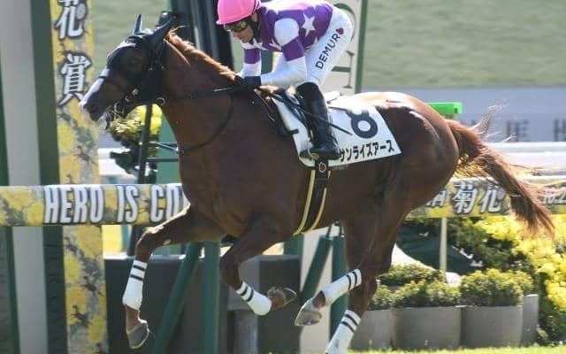 【天皇賞(春)予想】不安要素が見当たらない？ 伝統GIでAIが推奨する馬とは