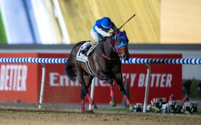 【ケンタッキーダービー】アドマイヤデイトナ＆ルクソールカフェが現地で最終調整…両馬とも順調な仕上がり