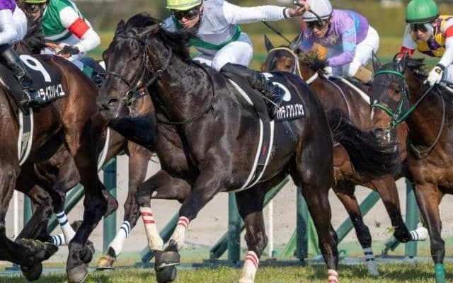 青森産馬の24年ぶりGI制覇なるか 名牝系「期待の星」が天皇賞(春)制覇狙う