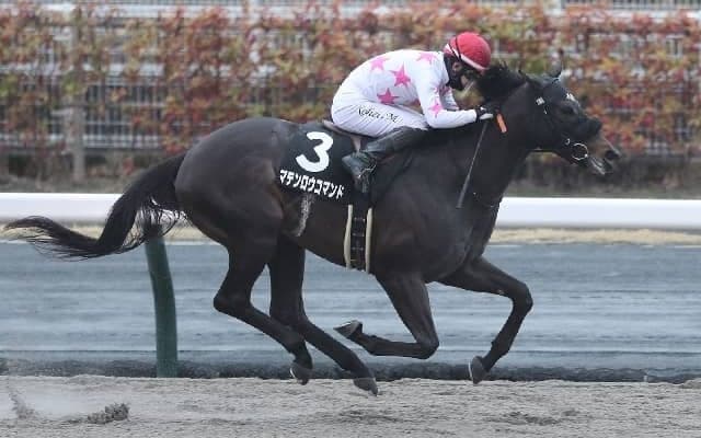 【園田・兵庫CS注目馬】今年もJRA所属馬が上位を占めるか 3歳ダート短距離王の座はどの馬に