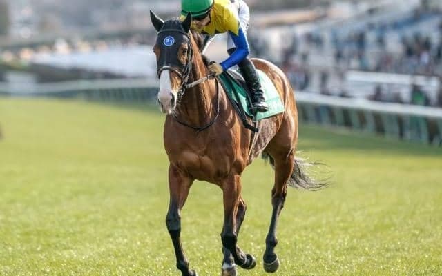 【京王杯SC出走馬・騎手確定】トウシンマカオ＆横山武史騎手、ママコチャ＆川田将雅騎手など12頭