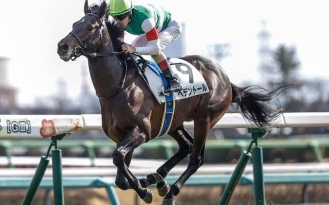 【天皇賞(春)・調教後馬体重】ヘデントールは490kg、サンライズアースは540kg