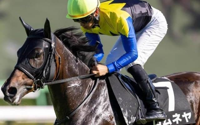 金子真人オーナーの2.1億円馬 胎内川特別で待望の3勝目なるか