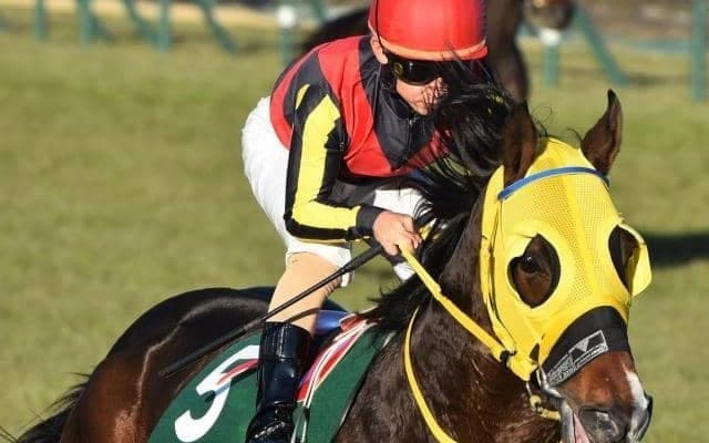 半兄にGI馬ピクシーナイトを持つ重賞馬 障害戦で2年10カ月ぶりの勝利なるか