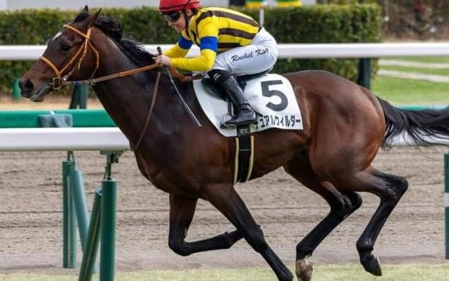 昨年の青葉賞3着馬 約1年ぶりの復帰戦で勝利なるか