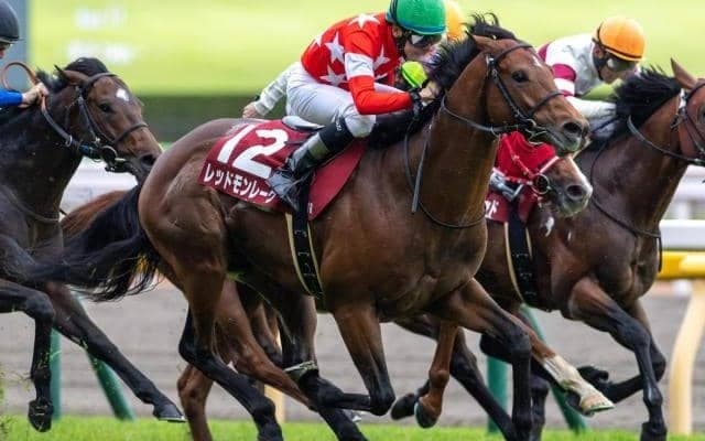 京王杯SCの23年覇者 レース史上2頭目の2勝目なるか