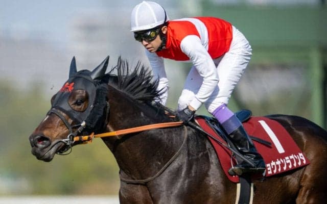 【武豊日記】人馬が無事に帰ってくることの大事さ