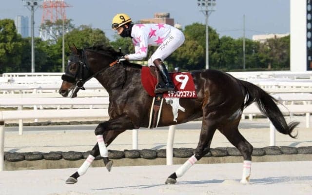 【兵庫CS】松山「理想通りの展開」マテンロウコマンドが4連勝