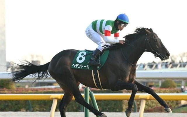 【競馬予想】天皇賞・春で１番人気が予想されるヘデントールは本当にＧＩを勝てる力があるのか