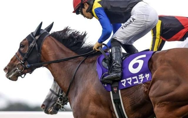 【京王杯SC枠順確定】ママコチャは3枠3番、ロジリオンは4枠4番