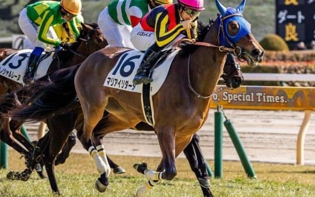 GI覇者の全妹がオークス切符獲得なるか スイートピーSで無傷の2連勝狙う