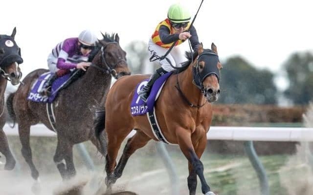 【船橋・かしわ記念枠順】フェブラリーS覇者コスタノヴァは7枠7番、連覇狙うシャマルは5枠5番