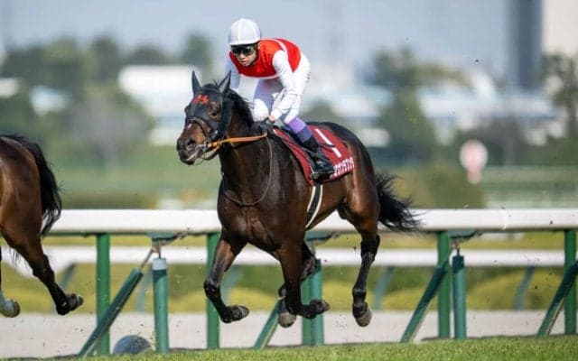 歴代最多8勝！天皇賞・春はショウナンラプンタとのコンビ…武豊騎手騎乗馬