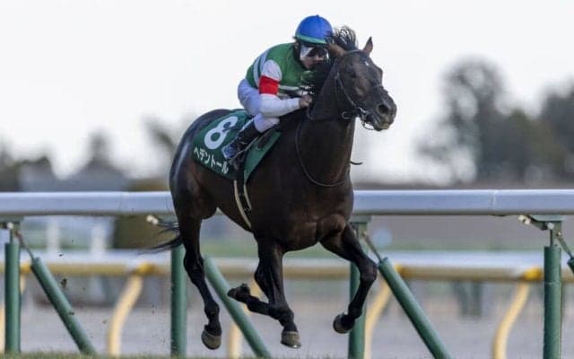 【天皇賞・春】レーン騎乗 ヘデントールは4枠6番