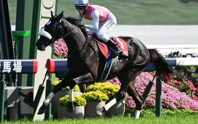 【エプソムC想定馬・騎手】ジューンテイク、デビットバローズなど24頭