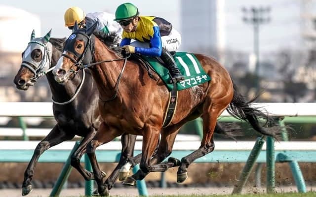 【今日の注目ポイント】東京で京王杯SCと京都でユニコーンS