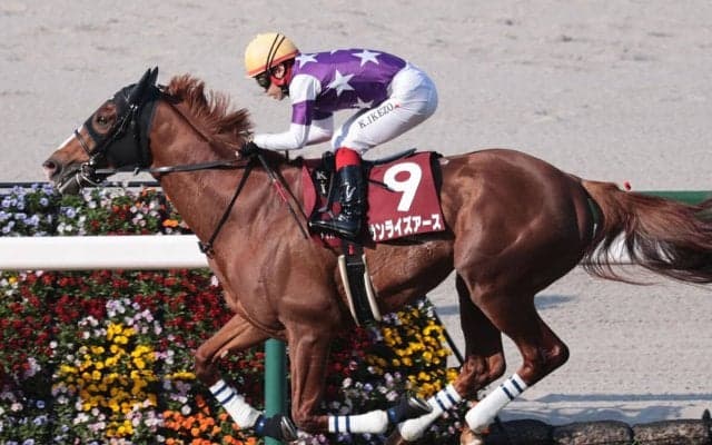 天皇賞・春で確認すべきは「長距離」に強い血　レイデオロ、ディープインパクト産駒から２頭をチョイス