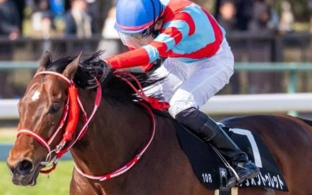 【ブリリアントS】レヴォントゥレットが5連勝なるか 母は重賞2勝馬クイーンマンボ