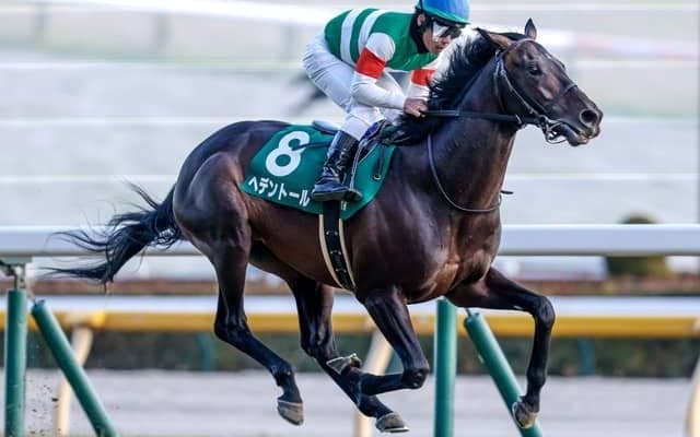 【天皇賞(春)前日オッズ】ヘデントールが2.9倍で1番人気