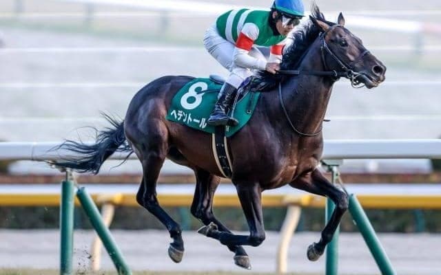 【今日の注目ポイント】古馬の長距離王者決定戦・天皇賞(春)