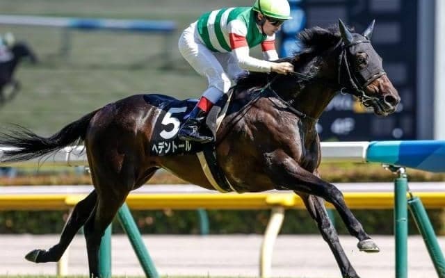 【天皇賞(春)予想】古馬最高の栄誉をかけ有力ステイヤー集結 2度の坂越えがレースのキモ