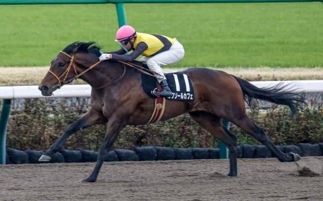 【ケンタッキーダービー結果】ルクソールカフェ12着、アドマイヤデイトナ19着 ソヴリンティがV