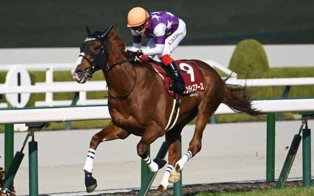 京都芝は高速馬場 天皇賞(春)は内-中枠ベターか