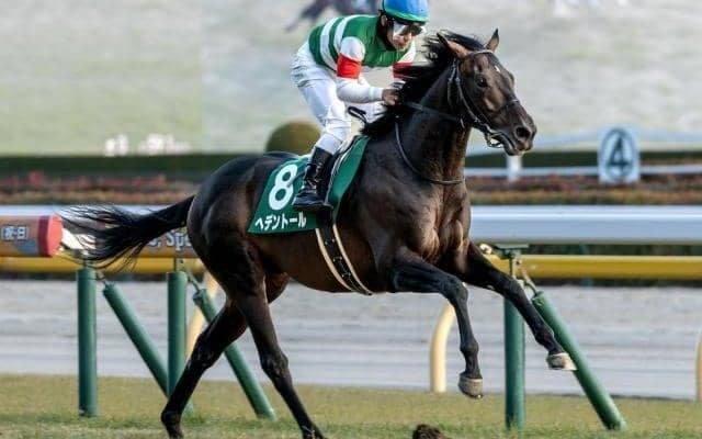 【天皇賞(春)・馬体重】ヘデントールは478kg(-4)、サンライズアースは530kg(+4)