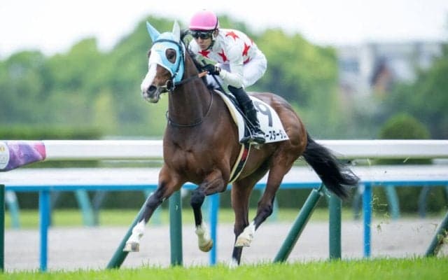 【京都7R】良血ミッキースターダムが4歳1勝クラスで初勝利