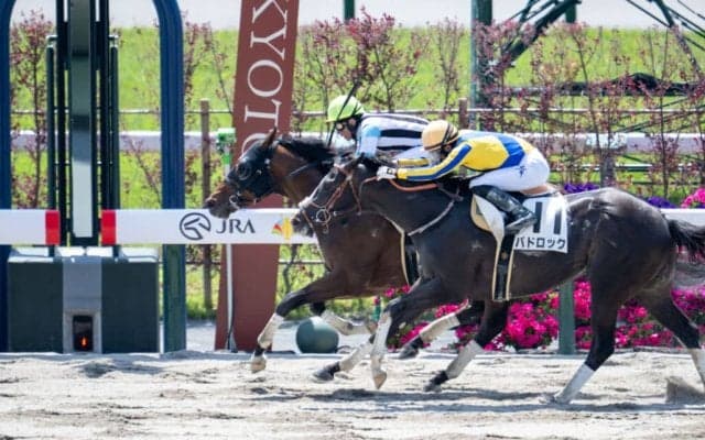 【京都2R】武豊スコーピオンイメルが人気に応える