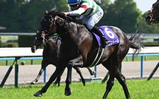 【天皇賞(春)】ヘデントールがゴール前の接戦制しGI初V！ D.レーン騎手は来日初週でGI制覇