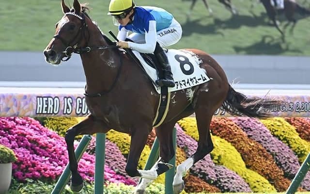 3歳マイル王決定戦・NHKマイルCなど3重賞/今週の競馬界の見どころ