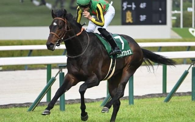 吉村誠之助騎手が“武豊超え”へ NHKマイルCで史上最年少JRA・GI制覇なるか