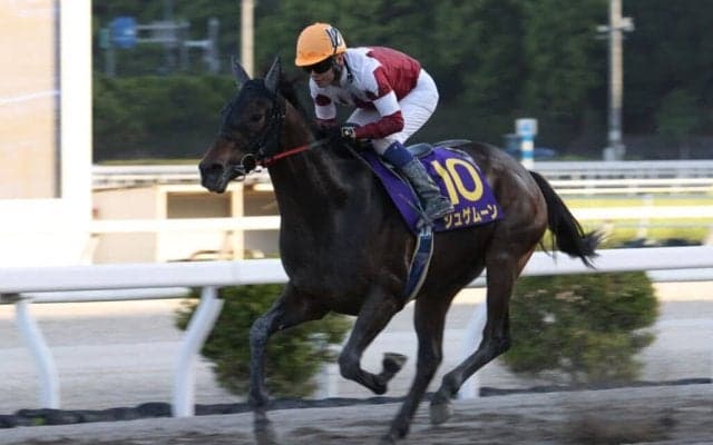 【高知・黒潮皐月賞】ジュゲムーンが5馬身差の完勝！高知クラシック三冠へ第一歩