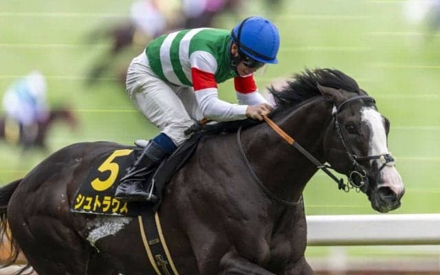 【エプソムC登録馬】シュトラウスなど26頭