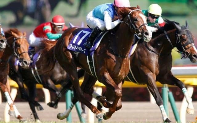 1位の「1分31秒4」は当時の日本レコード NHKマイルCの勝ち時計ベスト5