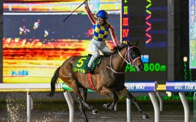 【船橋・かしわ記念注目馬】ゴールデンウィークに行われる大一番 春のダートマイル王者はどの馬に