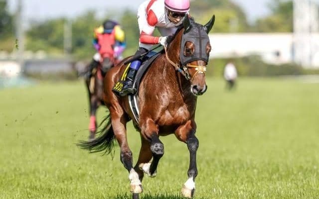 【エプソムC想定騎手】ダノンエアズロックはD.レーン騎手、シュトラウスは北村宏司騎手